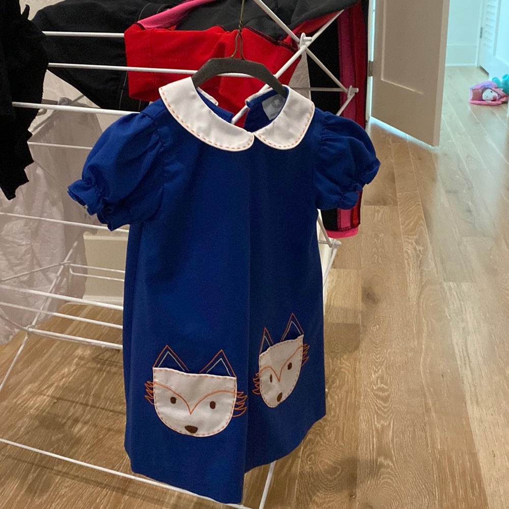 Cute blue dress with Fox pockets